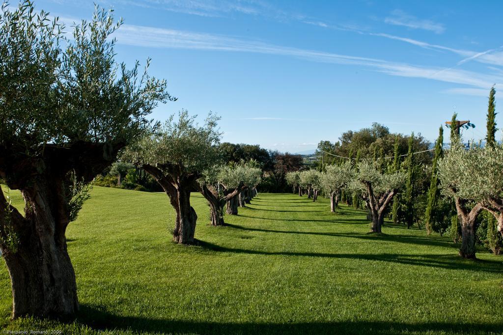 Tenuta Di Petriolo Guest House Torrita di Siena Exterior photo