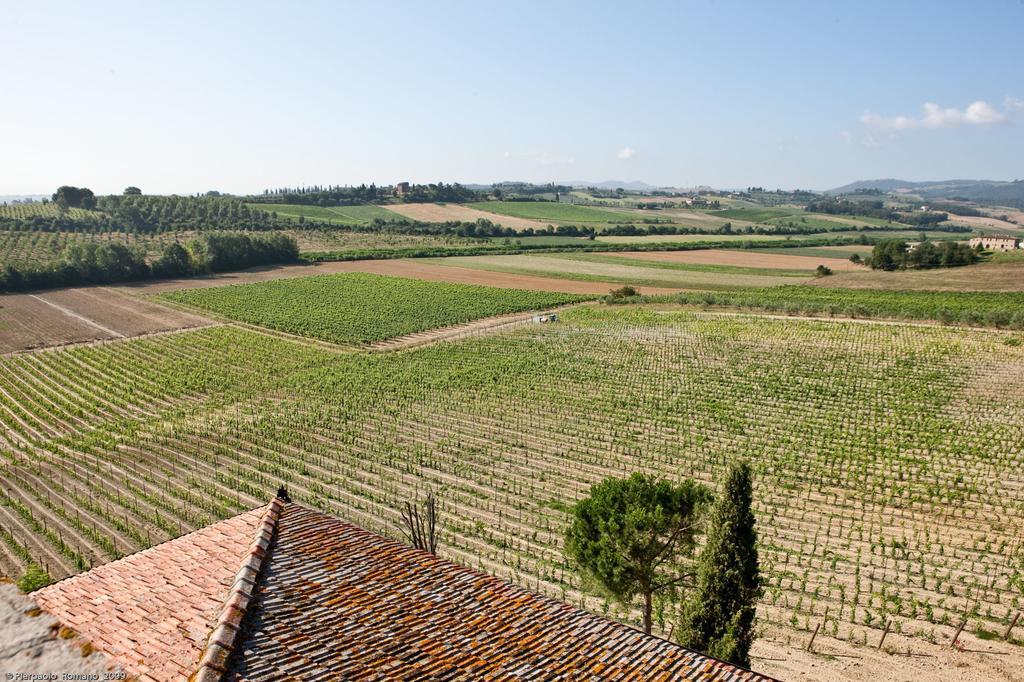 Tenuta Di Petriolo Guest House Torrita di Siena Exterior photo